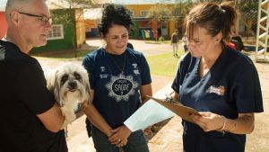 Cidade Aracy recebe 3º Mutirão de Castração com 340 animais atendidos
