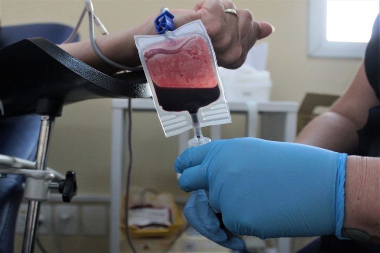 Banco de Sangue da Santa Casa de São Carlos precisa de doações do tipo A+, B- e AB+; saiba como doar