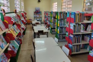 São Carlos possui 11 bibliotecas integradas com aproximadamente 130 mil títulos à disposição da população