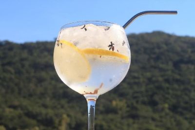 Carnaval com sabor: receitas de drinks para brindar com estilo