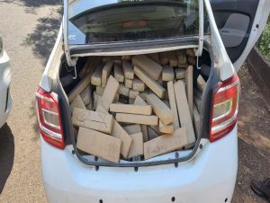 Polícia Militar Rodoviária apreende 728 kg de maconha em Ribeirão Preto