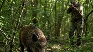 3º Encontro de Caçadores de São Carlos reúne comunidade e destaca importância do manejo sustentável