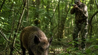 3º Encontro de Caçadores de São Carlos reúne comunidade e destaca importância do manejo sustentável