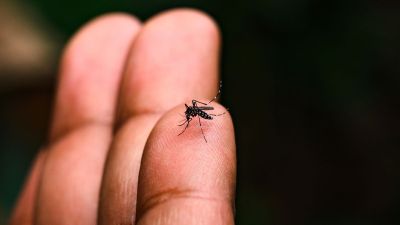 São Carlos confirma mais de 19.200 casos positivos de dengue