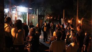 Parque ecológico promove caminhada noturna para observação de corujas no cerrado