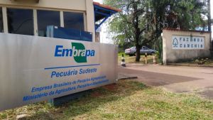 Embrapa tem 31 pesquisadores entre os mais citados do mundo