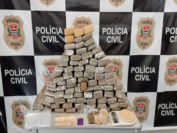 Dise apreende 87 tijolos de maconha no interior