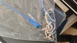 Suspeito é preso por tráfico de drogas após tentar fugir da PM em Ribeirão Bonito