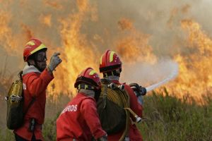 Incêndio em parque já destruiu área de quase 300 campos de futebol na Bahia