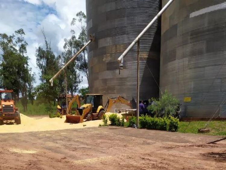 Jovem morre &#039;soterrado&#039; em silo de milho