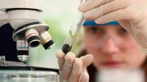 Imersão científica leva alunas e professoras a centros tecnológicos