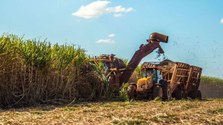 Superávit do agro paulista registra mais de US$ 8 bilhões em cinco meses