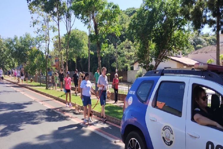 Cãominhada foi um sucesso em Brotas