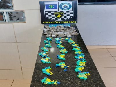 Com ajuda da cachorra K9 Índia, GM localiza drogas no São Carlos V; assista ao vídeo