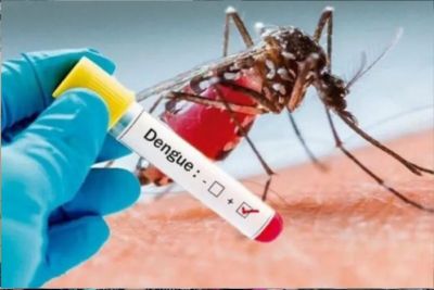 São Carlos registra 544 casos positivos de Dengue