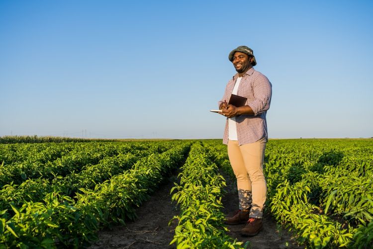 Agro mantém crescimento e é responsável por 27% dos empregos gerados no Brasil