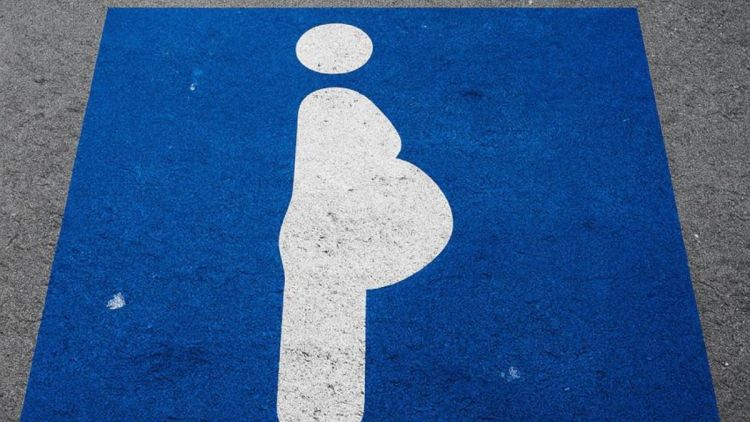 Vereadores Bruno Zancheta e Malabim propõem criação de vagas exclusivas de estacionamento para gestantes