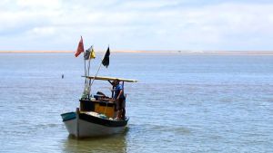 Pescadores artesanais começam a receber seguro-defeso retroativo