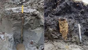 'Cápsula do tempo pré-histórica': tesouro de 5 mil anos é achado em pântano
