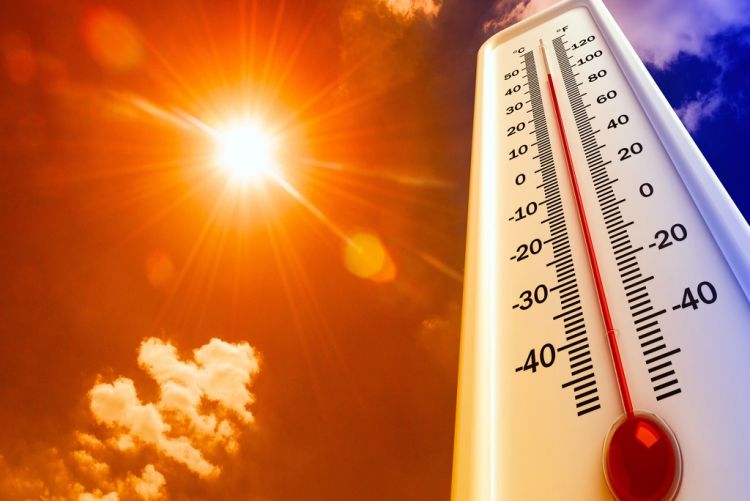 Temperatura diária global fica 2°C acima da era pré-industrial pela primeira vez