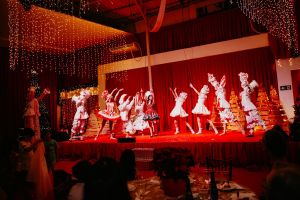 Casa Mágica do Noel inaugura neste sábado em Ribeirão Preto