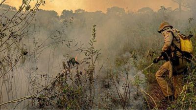 Comunidades criam soluções para mitigar efeitos da crise climática