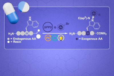 Cientistas da UFSCar, com parceiros da Alemanha, desenvolvem técnica que abre fronteiras na busca por novos medicamentos