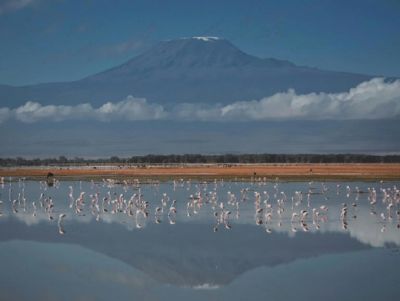 Incêndio florestal volta a ganhar força no Kilimanjaro