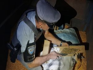 PM Rodoviária prende dupla que transportava 2,4 toneladas de maconha