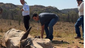 Secretaria de bem-estar animal adota providências após denúncia de abandono de animais