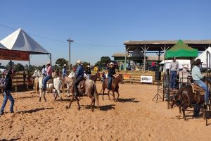 Secretaria de agricultura oferece curso de equitação