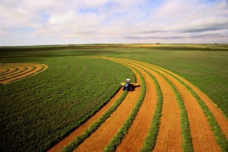 Startup nos EUA quer tornar o agricultor um investidor em terras