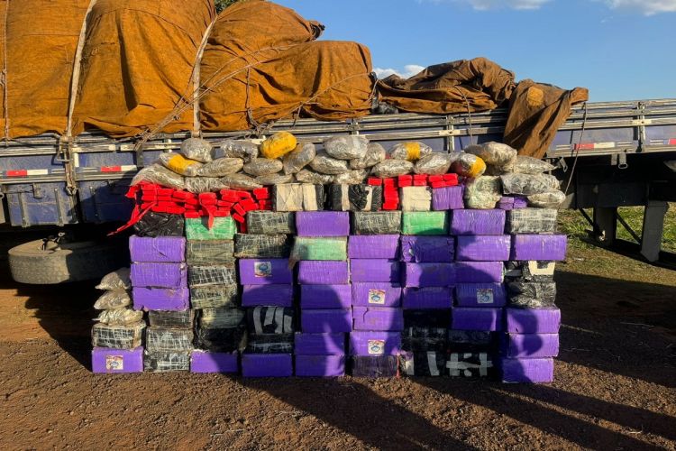 1,5 tonelada de maconha em caminhão: motorista é preso pela 2ª vez por tráfico