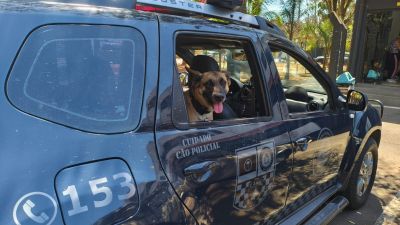 Guarda Municipal apreende grande quantidade de drogas no bairro Santa Angelina