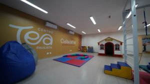 Centro TEA Paulista em Bauru: saiba quais serviços são oferecidos e como acessar o atendimento