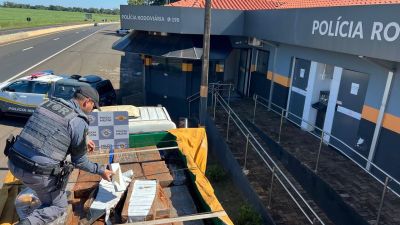 Cerca de 1,4 tonelada de maconha escondida em carga agrícola é apreendida pela PM Rodoviária