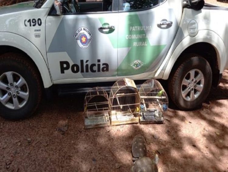 Homem leva multa de R$ 2,5 mil por manter animais silvestres em cativeiro