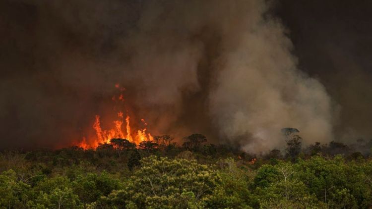 Queimadas atingiram 30 milhões de hectares no país em 2024
