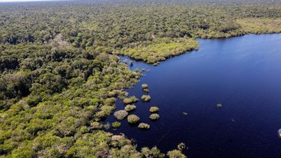 Fundo Amazônia bate recorde ao destinar mais de R$ 1 bilhão em 2025