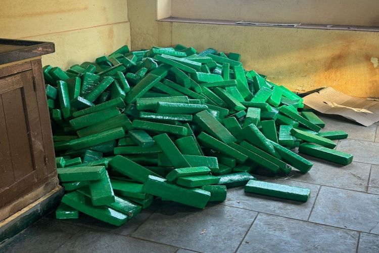 Denarc encontra edícula de drogas em sítio na região de Ribeirão Preto