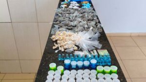 Cão farejador localiza grande quantidade de drogas em São Carlos
