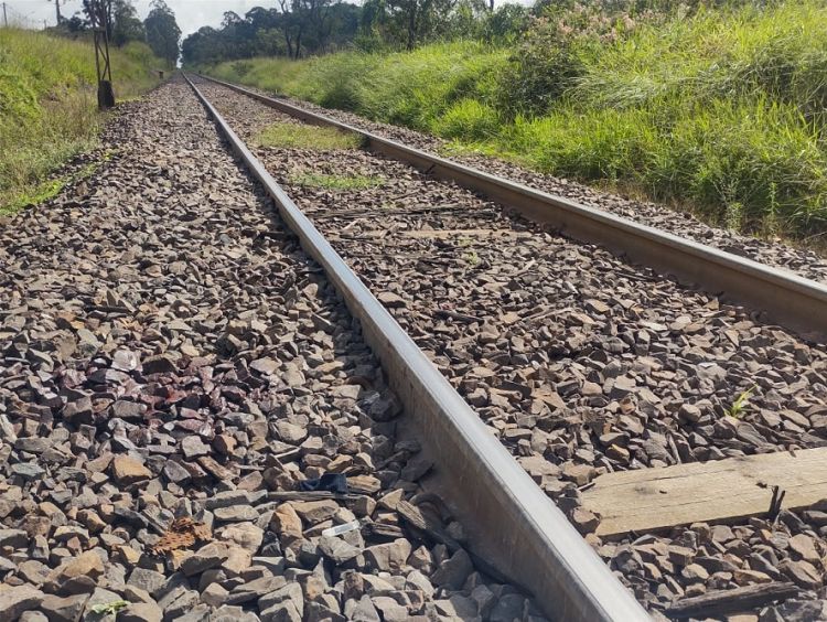 Homem morre após ser atropelado por trem em São Carlos