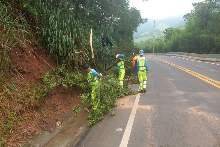 Eixo realizará serviços no trecho de serra da SP 304