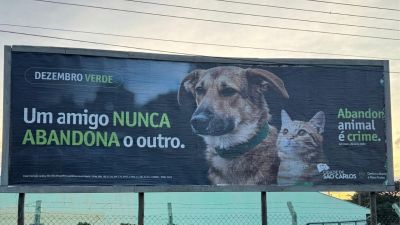 Dezembro Verde 2025: campanha de conscientização contra o abandono de animais, mobilizou ações em toda cidade.