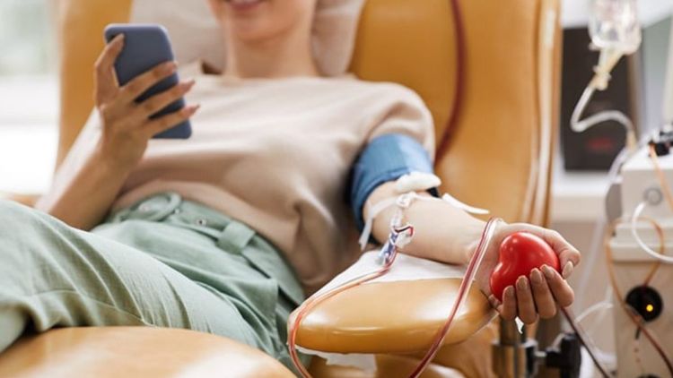 Conversão de multas por doação de sangue: Bruno Zancheta apresenta lei na Câmara