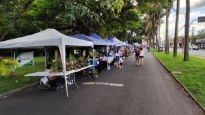 Feira Municipal de Economia Criativa e Solidária reúne 40 expositores neste sábado (26)