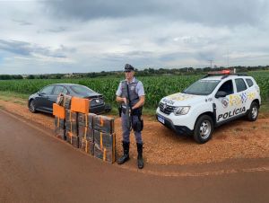 PM Rodoviária prende casal que transportava 311 kg de maconha