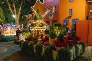 Natal de Holambra by Expoflora se prepara para mais um fim de semana de diversão