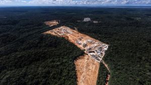 Planeta perdeu mais de 41 milhões de hectares de florestas em 10 anos