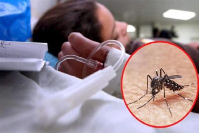 São Carlos registra 5.256 casos positivos de dengue